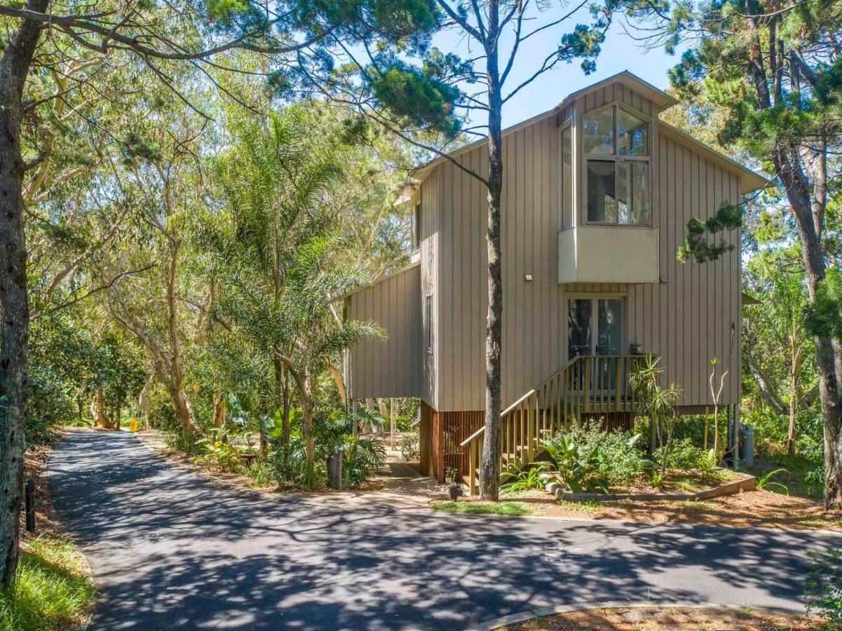 The Oasis Apartments And Treetop Houses Byron Bay Luaran gambar