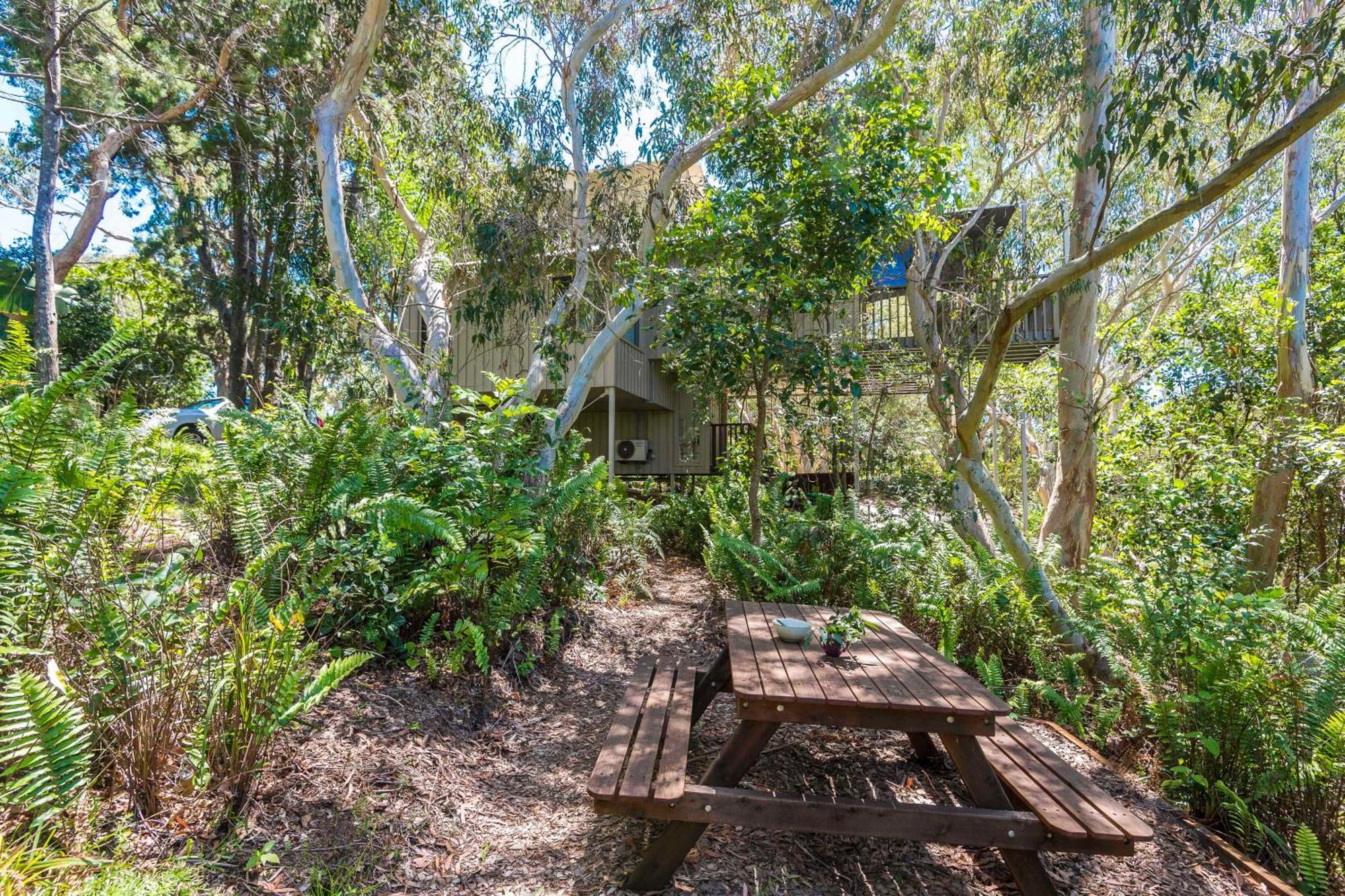 The Oasis Apartments And Treetop Houses Byron Bay Bilik gambar